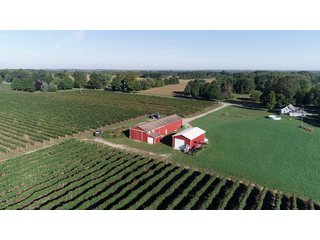 Van Buren County, Michigan Farmland - LAND AUCTION - 300+/- ACRES SPECIALTY CROP - GRAPES AND HOPS - OFFERED IN 8 TRACTS IN VAN BUREN COUNTY, MICHIGAN